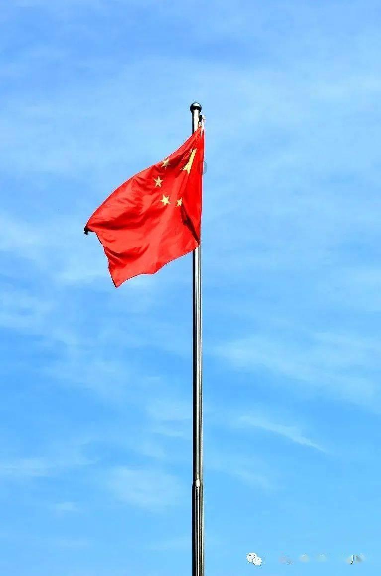 拯救机智男孩